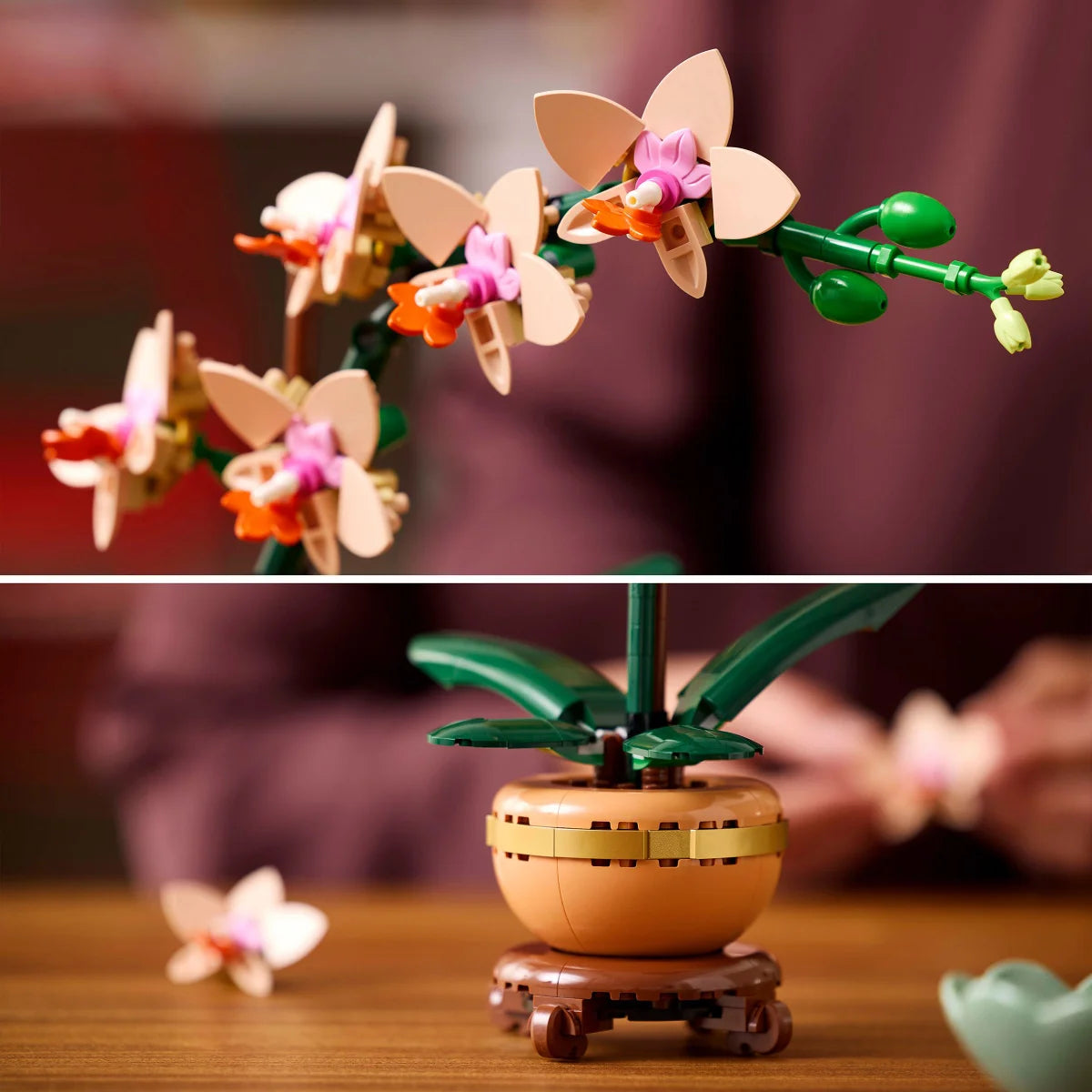 LEGO Botanicals Mini Orchid Building Set for Adults