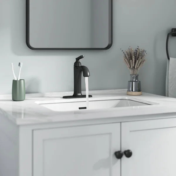 American Standard Braymer Single Handle Monoblock Bathroom Faucet