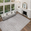 ECARPETGALLERY Invista Collection Sophia Indoor Area Rug