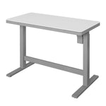 Tresanti Geller Adjustable Height 120.1 cm x 65 cm (47.3 in. x 25.6 in.) Desk