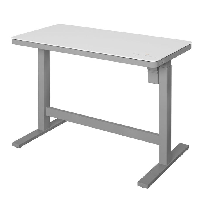 Tresanti Geller Adjustable Height 120.1 cm x 65 cm (47.3 in. x 25.6 in.) Desk