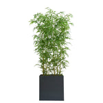 Faux Bamboo Room Divider 2.0 m (6.5 ft.)
