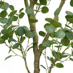 Faux Eucalyptus Tree 1.9 m (6.5 ft.)