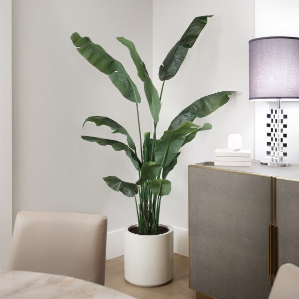 Faux Banana Leaf Tree 2 m (6.5 ft.)