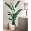 Faux Banana Leaf Tree 2 m (6.5 ft.)