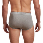 Stanfield’s Men’s Organic Briefs, 6-pack