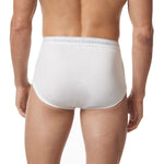 Stanfield’s Men’s Organic Briefs, 6-pack