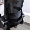 Sealy Lucky Mesh Office Chair