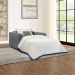 Thomasville Dillard Fabric Sleeper Chair