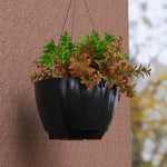 Caprio Self Watering Hanging Planter (2-Pack)