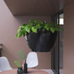 Caprio Self Watering Hanging Planter (2-Pack)
