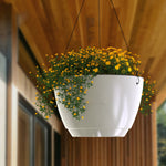 Caprio Self Watering Hanging Planter (2-Pack)