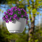 Caprio Self Watering Hanging Planter (2-Pack)