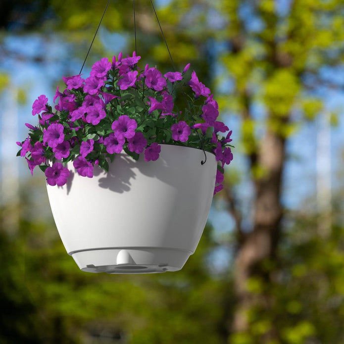 Caprio Self Watering Hanging Planter (2-Pack)