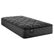 Sealy Posturepedic Rory Medium Twin Mattress or Set