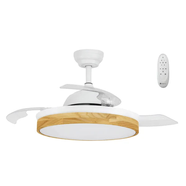 Xtricity Starlight 42