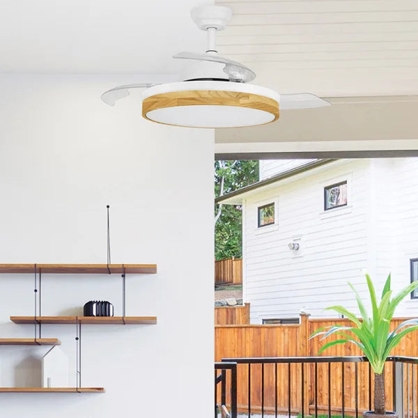 Xtricity Starlight 42