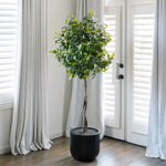 Faux Laurel Tree 2 m (6 ft.)