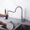 Westmount Waterworks Touchless Pull-down Greta Kitchen Faucet