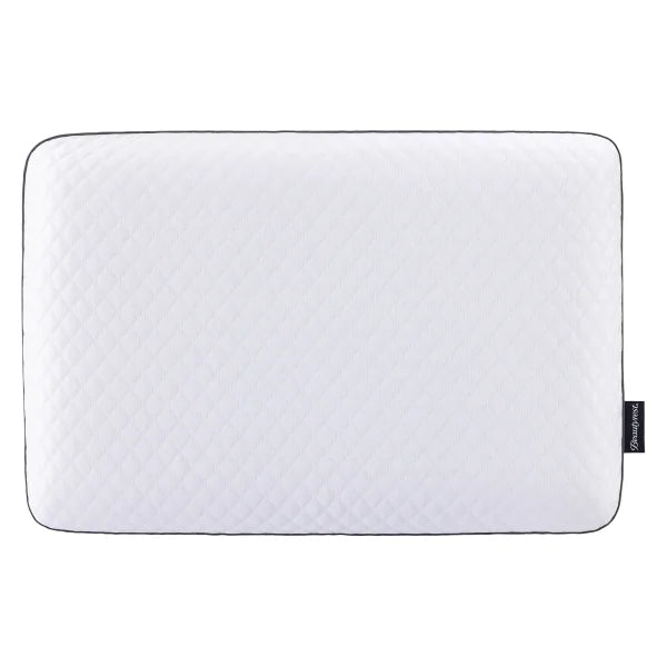 Beautyrest Dualcool Carbon Fiber Memory Foam Pillow