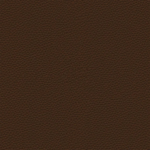 Amisco Dorah Counter Stool