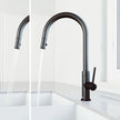 VIGO Bristol Single-Handle Kitchen Faucet