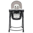 Safety 1st AdapTable High Chair, Pathway
