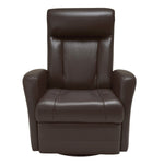 Palliser – Anais Top-grain Leather Swivel Glider Power Recliner