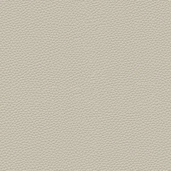 Amisco Avery Counter Stool