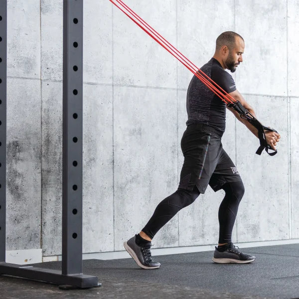 Everlast Suspension Trainer With Resistance Tubing