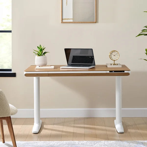 Nico Case 119.9 cm (47.2 in.) Height Adjustable Lift Desk