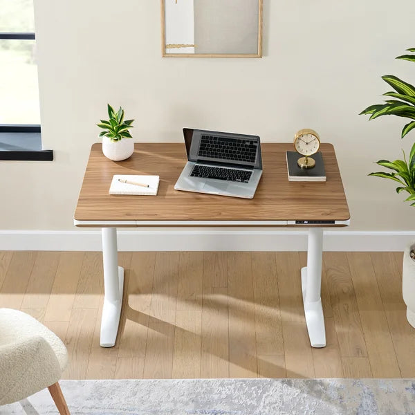 Nico Case 119.9 cm (47.2 in.) Height Adjustable Lift Desk