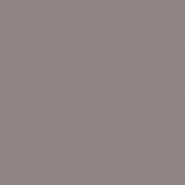 Amisco Drift Dining Chair, 2-pack