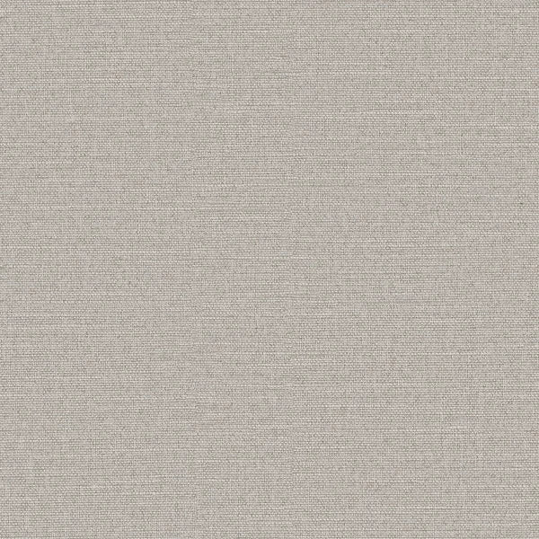 Amisco Drift Fabric Dining Chair, 2-pack