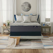 Serta Perfect Sleeper November 30.5 cm (12 in.) Mattress or Set