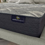 Serta Perfect Sleeper November 30.5 cm (12 in.) Mattress or Set