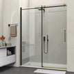 Appollo Cynthia 60 in. Shower Door Kit
