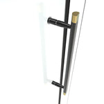 Appollo Cynthia 60 in. Shower Door Kit