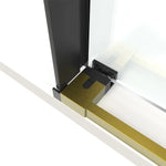 Appollo Cynthia 60 in. Shower Door Kit