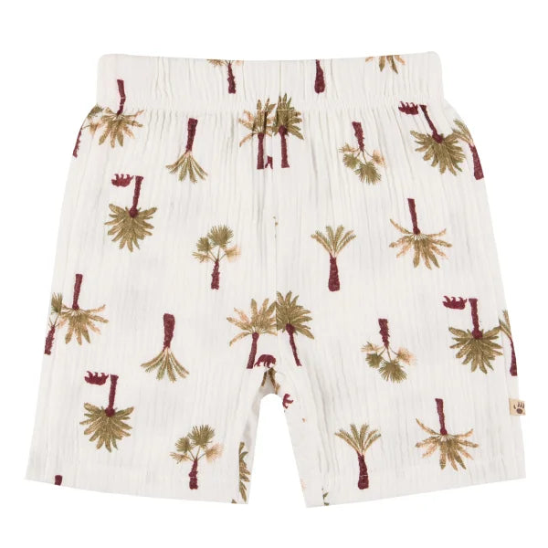 Bearpaw Boys 3-piece Gauze Set