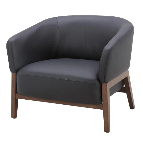 Aiden & Ivy Top-grain Leather Armchair