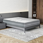 Paulsen 25.4 cm (10 in.) Pocket Coil Hybrid Mattress