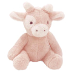 Piccolo Bambino Play Pack for Baby