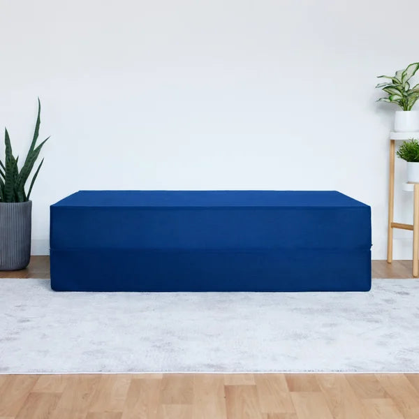 Polysleep 20.3 cm (8 in.) Foldable Queen Memory Foam Mattress