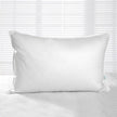 Westex Canadian Brome Lake Duck Down Pillow