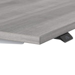 Office Pro Amplify 150.9 cm x 74.7 cm (59.4 in. x 29.4 in.) Height Adjustable Desk