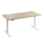 Office Pro Amplify 150.9 cm x 74.7 cm (59.4 in. x 29.4 in.) Height Adjustable Desk