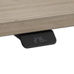 Office Pro Amplify 150.9 cm x 74.7 cm (59.4 in. x 29.4 in.) Height Adjustable Desk