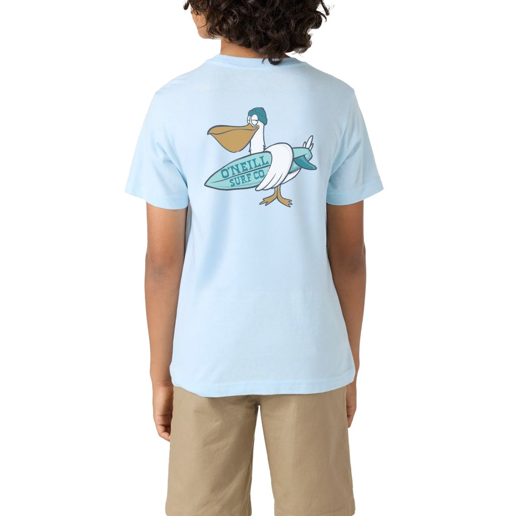 O'Neill Boys Hoodie and T-Shirt Set