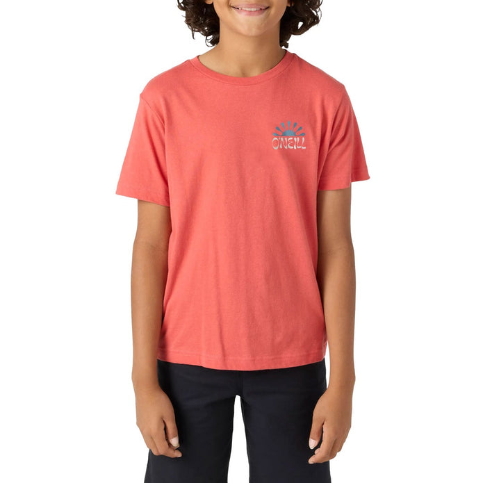 O'Neill Boys Hoodie and T-Shirt Set